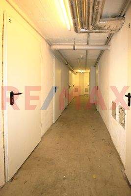 185 - LU-Fra-Allgemein