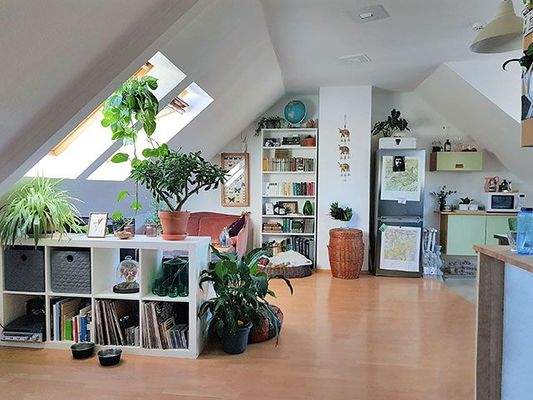 Wohnzimmer mit offener Küche