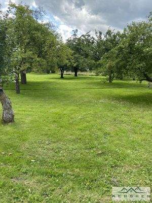 Ansicht von Norden (18)