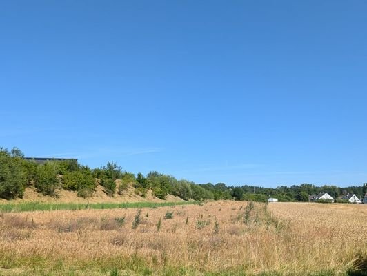 Natur direkt vor der Tür