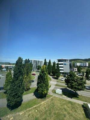 Ausblick + Umgebung