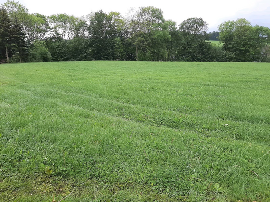 ac467d5b-3f22-4889-b24b-2bc6175c01d3