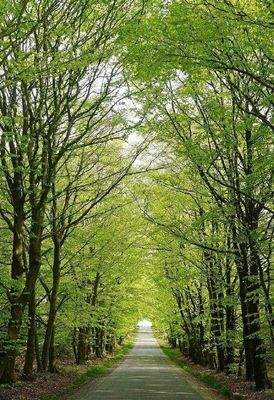 Wohnen an der Dresdner Heide