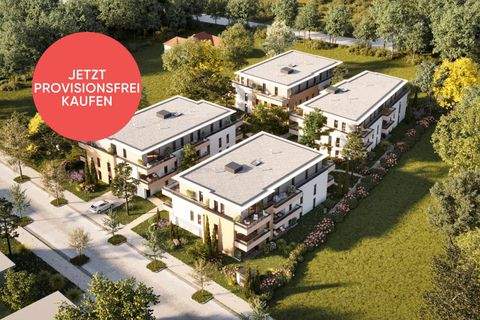 Wiener Neustadt Wohnungen, Wiener Neustadt Wohnung kaufen