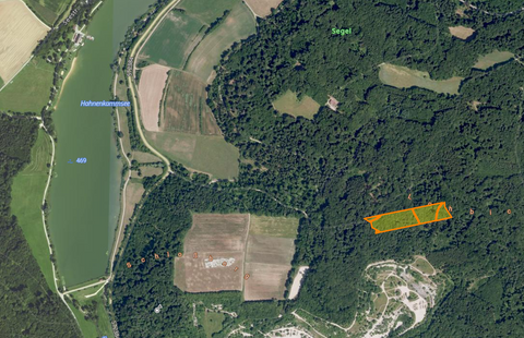 Heidenheim Bauernhöfe, Landwirtschaft, Heidenheim Forstwirtschaft