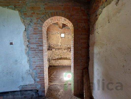 20240417_115409 (Kopie).jpg