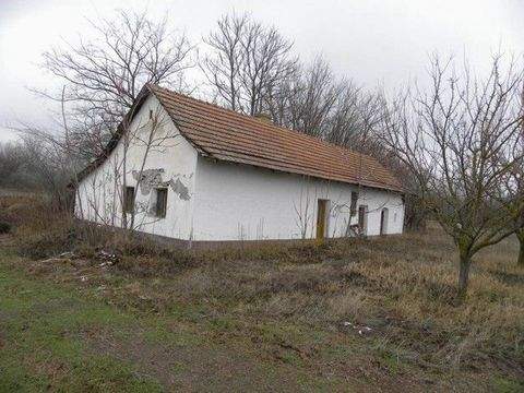 Kiskunmajsa Häuser, Kiskunmajsa Haus kaufen