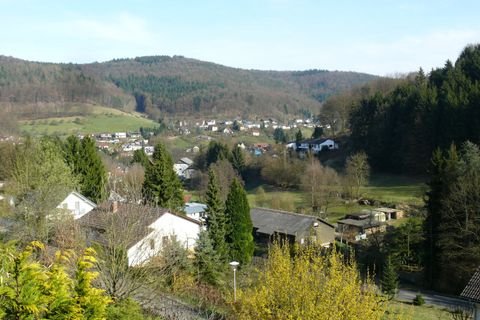 Schönau Häuser, Schönau Haus kaufen