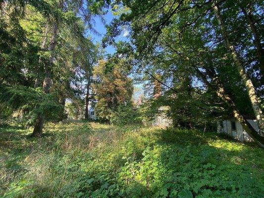 Fasanengehege (2).JPG