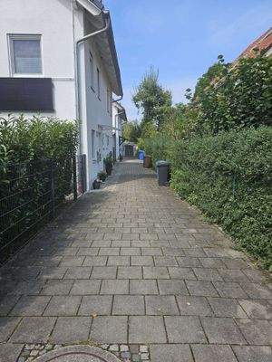 WhatsApp Image 2026-02-03 at 1