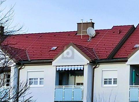 Oslip Wohnungen, Oslip Wohnung kaufen