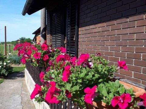 Bjelovar Häuser, Bjelovar Haus kaufen