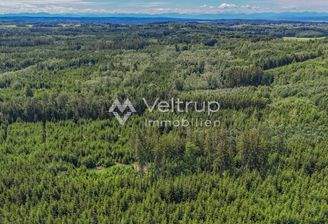 Forstgrundstück