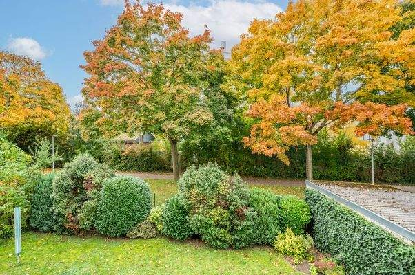 Blick ins Grüne vom Balkon