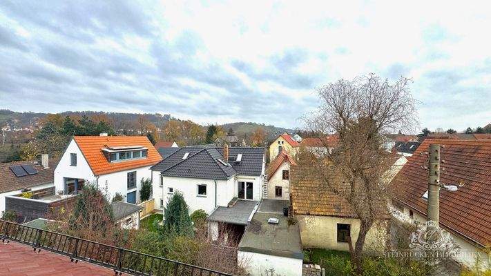Aussicht in die Radebeuler Weinberge