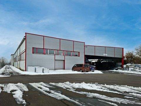 Bad Brückenau Halle, Bad Brückenau Hallenfläche