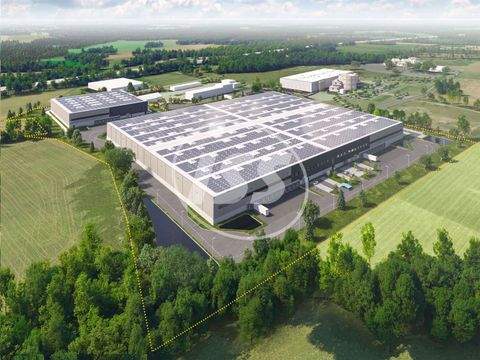 Möckern Halle, Möckern Hallenfläche