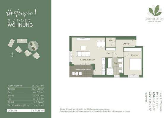 Hortensie 1_WE3-01,3-04,3-05,3-08,3-09,3-12.jpg