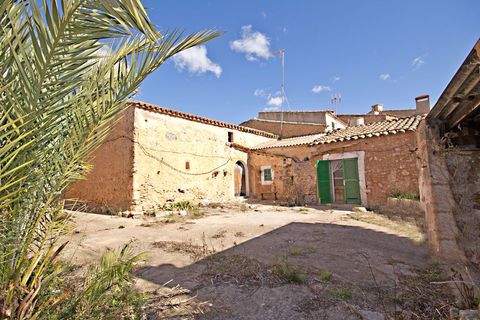 S´Alqueria Blanca Häuser, S´Alqueria Blanca Haus kaufen
