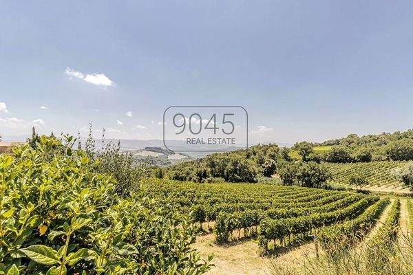 Exklusives Anwesen mit Villa, Bio-Weinbergen und Entwicklungspotenzial nahe Bolgheri