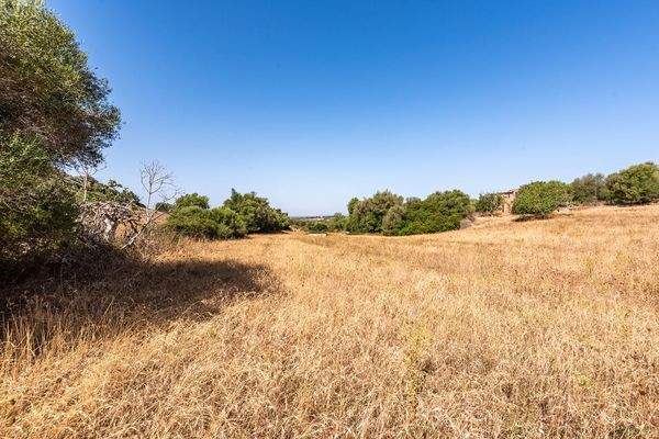 Grundstück mit Baungenehmigung