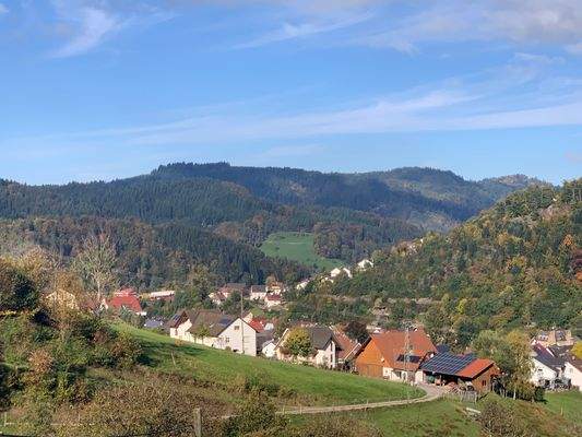 Blick auf Oppenau.jpg