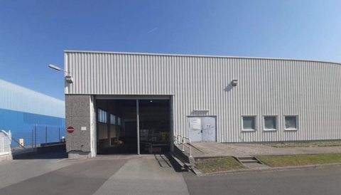 Offenbach am Main Halle, Offenbach am Main Hallenfläche