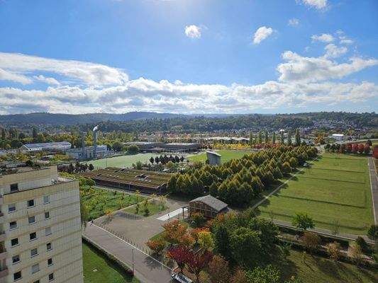 Blick zur LGA und Schwarzwald.jpg