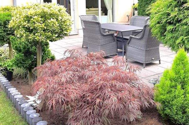 Impressionen Sommerzeit