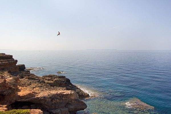 Grundstück mit Panoramablick in erster Meereslinie zum Verkauf in Cala Pi, Mallorca