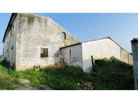 Tomar Häuser, Tomar Haus kaufen