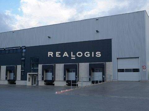 Bamberg Halle, Bamberg Hallenfläche