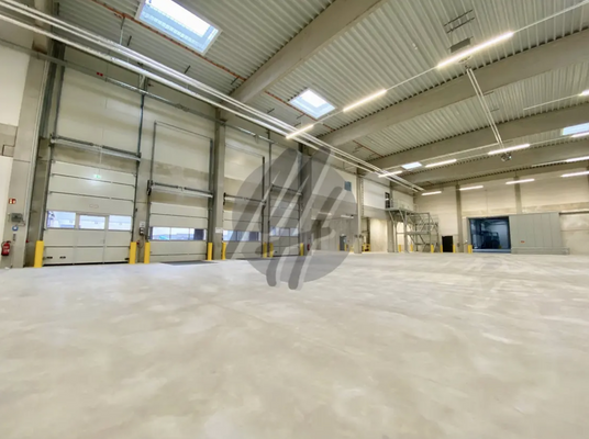 INFOS UNTER: 06171-586000