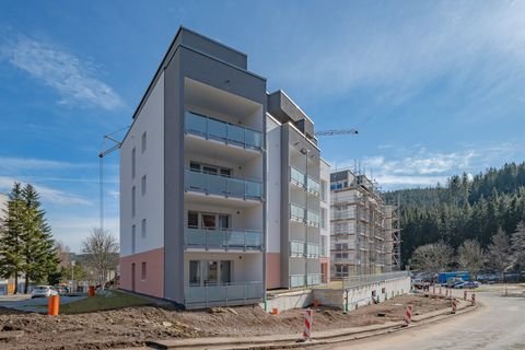 Furtwangen im Schwarzwald Wohnungen, Furtwangen im Schwarzwald Wohnung kaufen