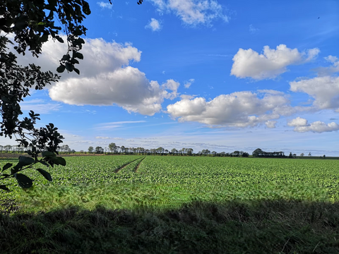 Norden Grundstücke, Norden Grundstück kaufen