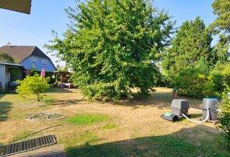 Blick auf das hintere Grundstück