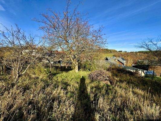Weitläufiges Grundstück mit Blick zum Haus