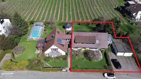 Bodolz Häuser, Bodolz Haus kaufen