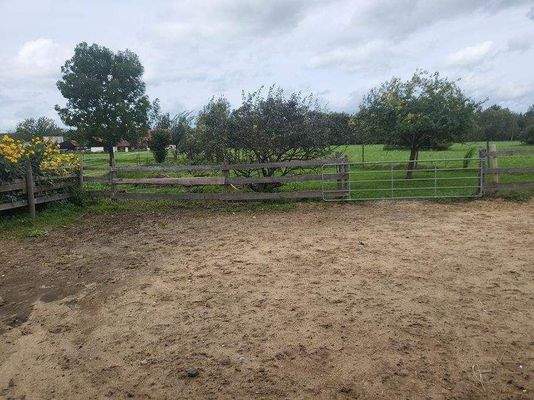 Allwetterplatz und Obstbäume.jpg