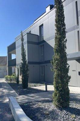 7h6DAi8RMktmzkTXNKrrpg