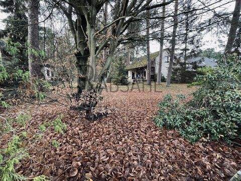 Hambühren / Oldau Häuser, Hambühren / Oldau Haus kaufen