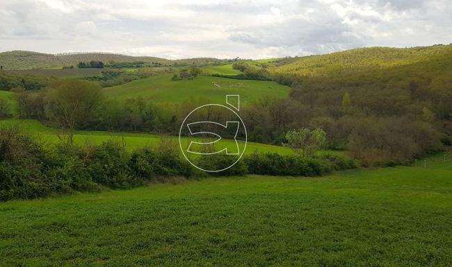 Großzügiges Anwesen in Panoramalage