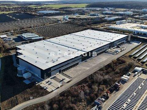 Nohra Halle, Nohra Hallenfläche