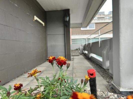 561 - genießen Sie bei jedem Wetter