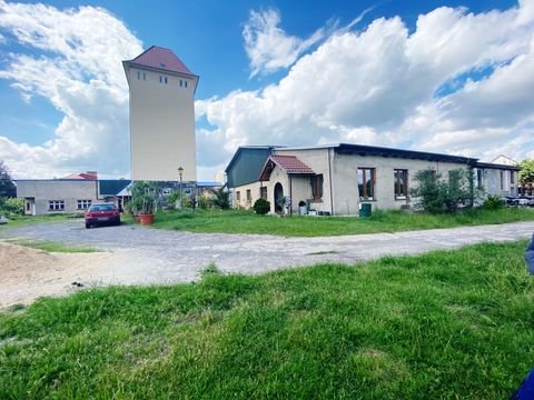 Märkisch Buchholz Halle, Märkisch Buchholz Hallenfläche