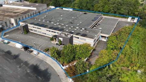 Nürnberg Halle, Nürnberg Hallenfläche