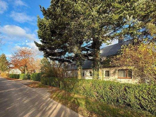 2. Seitenansicht.jpg