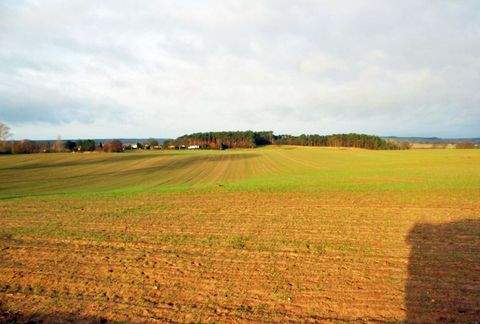 Zirchow Grundstücke, Zirchow Grundstück kaufen