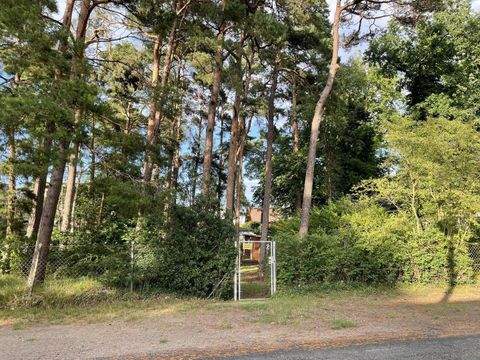 Binz Grundstücke, Binz Grundstück kaufen