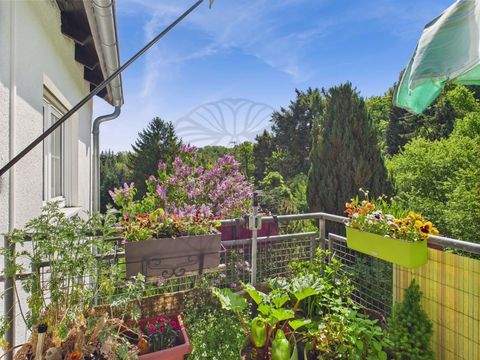 Schmitten Wohnungen, Schmitten Wohnung kaufen